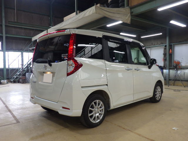 ルーミー完成